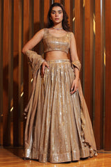 Fawn Georgette Sequins Embroidered Lehenga