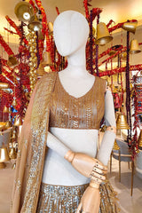 Fawn Georgette Sequins Embroidered Lehenga