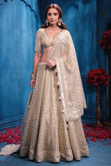 Antique Gold Tissue Lehenga Elegant Festive & Wedding Wear