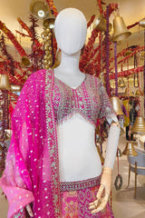 Rani Heavy Embroidery Lehenga Set